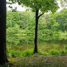 Shannon Mick - North Country Trail: Moraine & McConnell's Mill State Parks (PA)