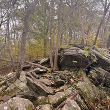 Edie Ready - Cushetunk trail - around Round Valley Reservoir (NJ)