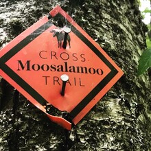 Kate Strum - Cross-Moosalamoo Trail (VT)