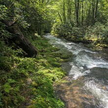 Ryan James - Clingman's Dome, Deep Creek (NC, TN)