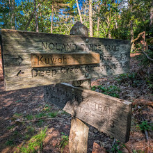 Ryan James - Clingman's Dome, Deep Creek (NC, TN)