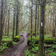 Ryan James - Clingman's Dome, Deep Creek (NC, TN)