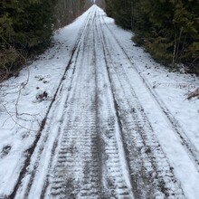 Kyle Harding - Kawartha Trans Canada Trail (ON, Canada)
