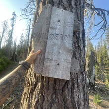 Emily Keddie - Oregon Volcanic Skyline Route
