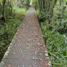 Leon Lynnerup - Trækstien (Pramdragerstien) (Denmark)