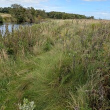 Leon Lynnerup - Trækstien (Pramdragerstien) (Denmark)
