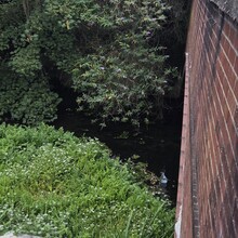 Michael Groves - Gipping Valley River Path (United Kingdom)