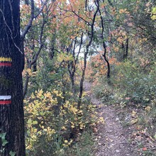 Agathe Lisowski - GR de Pays : Villages perchés de Haute Siagne (France)