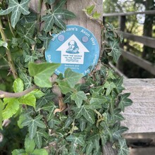 Rose Blackie, Lauren Gregory - Shakespeare Avon Way (UK)