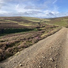 Alice Baird - The Herring Road (United Kingdom)
