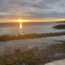 Alice Baird - The Herring Road (United Kingdom)