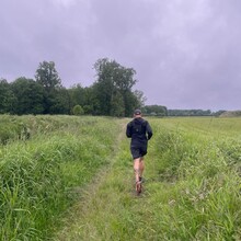 Duncan Epping, Raymon Epping - Het Heerlijk Pauwelspad (Netherlands)