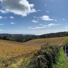 Soraya Somarathne, Bundle Maclaren, Miriam Quick - John Musgrave Heritage Trail (United Kingdom)