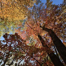 Rami Haddad, Juliana Castrillón - Blue Heron Trail (MA)