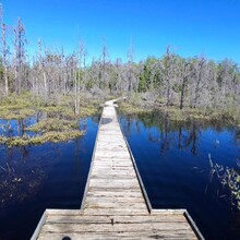Stephen Sensoli - High Country Pathway (MI)