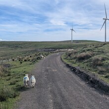 Dom Leckie - Todmorden Centenary Way (UK)