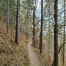 Jacopo Tissino - Jena Kernberge Trail