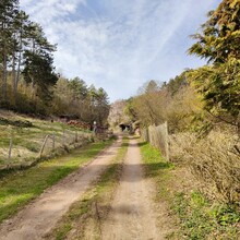 Jacopo Tissino - Jena Kernberge Trail