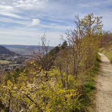 Jacopo Tissino - Jena Kernberge Trail