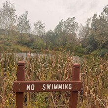 Edie Ready - Cushetunk trail - around Round Valley Reservoir (NJ)