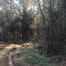 Kim Russell - Long Cane Horse Trail (SC)