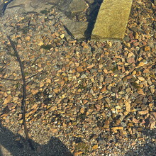 Joe Charles - Vermont Lowest to Highest (VT)