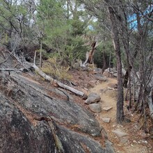 Julie Brock - Freycinet Peninsula  Circuit