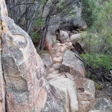 Julie Brock - Freycinet Peninsula  Circuit