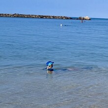 Chad Trammell - Mt. Ka'ala (HI)