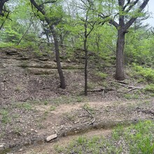 Stephanie Leake - Cross Timbers (TX)
