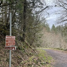 Mosi King - Banks-Vernonia-Crown-Zellerbach (BVCZ) Trail (OR)
