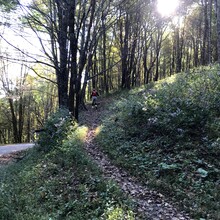 Gavin Rumble - Appalachian Trail: Roan Mountain Highlands (TN)