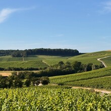 Linzi Bell - Camino Via Francigena (Canterbury to Rome )