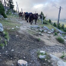 Jill Wojta - Black Elk Peak (SD)