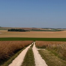 Linzi Bell - Camino Via Francigena (Canterbury to Rome )
