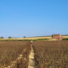 Rose Blackie, Lauren Gregory - Shakespeare Avon Way (UK)