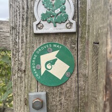 Tom Burslem - Cranborne Droves Way