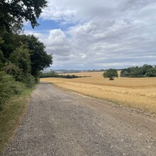 Tom Burslem - Cranborne Droves Way