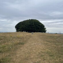 Tom Burslem - Cranborne Droves Way