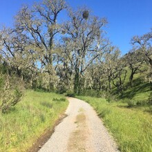 Lucas Horan - San Fran Bay Circumnav via Bay Area Ridge Trail (CA)