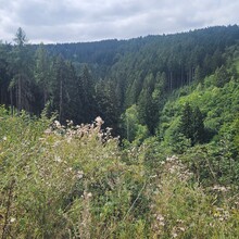 Anja Schneikart - Steinway-Trail