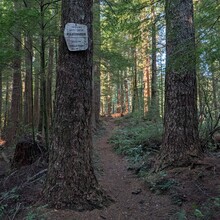 LeAna Leo, Tyler Cameron - Drift Creek Wilderness R2R2R (OR)