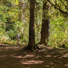 LeAna Leo, Tyler Cameron - Drift Creek Wilderness R2R2R (OR)
