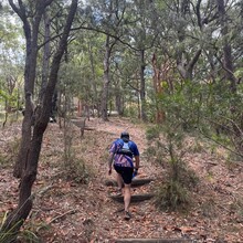 Jeremy Fogg - Central Coast Century Run