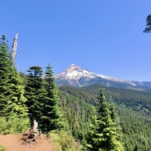Christof Teuscher - PCT: Bridge of the Gods - Timberline Lodge (OR)