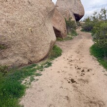 Joshua Locke - Maricopa Loop (AZ)