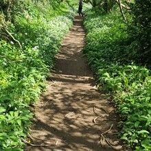 Soraya Somarathne, Bundle Maclaren, Miriam Quick - John Musgrave Heritage Trail (United Kingdom)