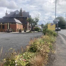 Alice Baird - The Herring Road (United Kingdom)
