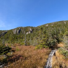 Kyle Andrews - Kinsman Ridge Trail (NH)