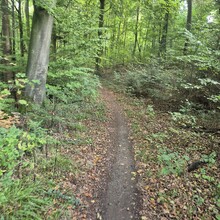 Dominic Thurmer - Hügeltour bei Neckarsulm (WT3, Heilbronner Land, Germany)